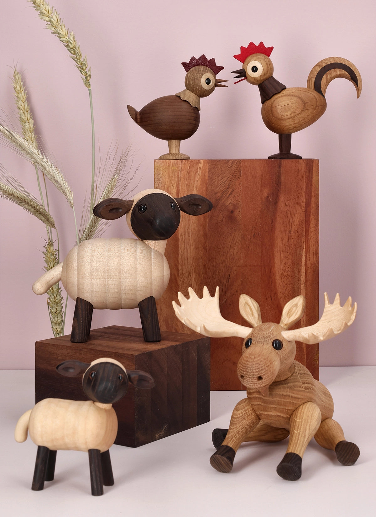 New arrivals
