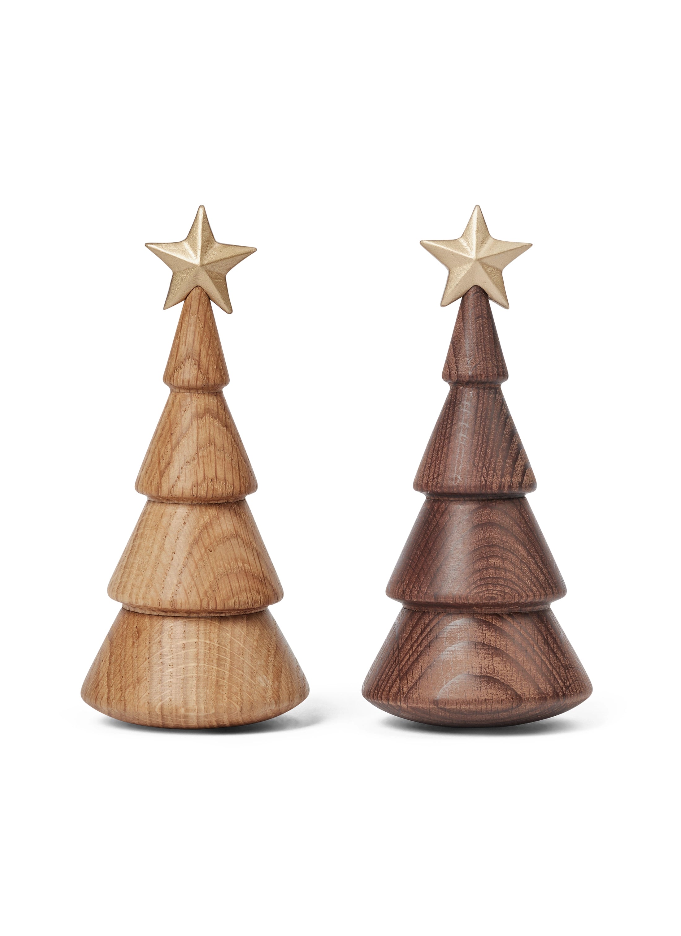 The Christmas Tree, thermo beech, gold star