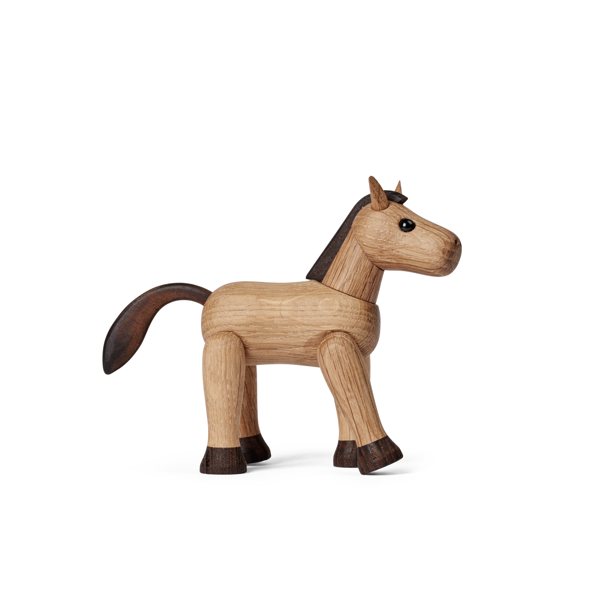 Comet Meet the galloping horse Spring Copenhagen