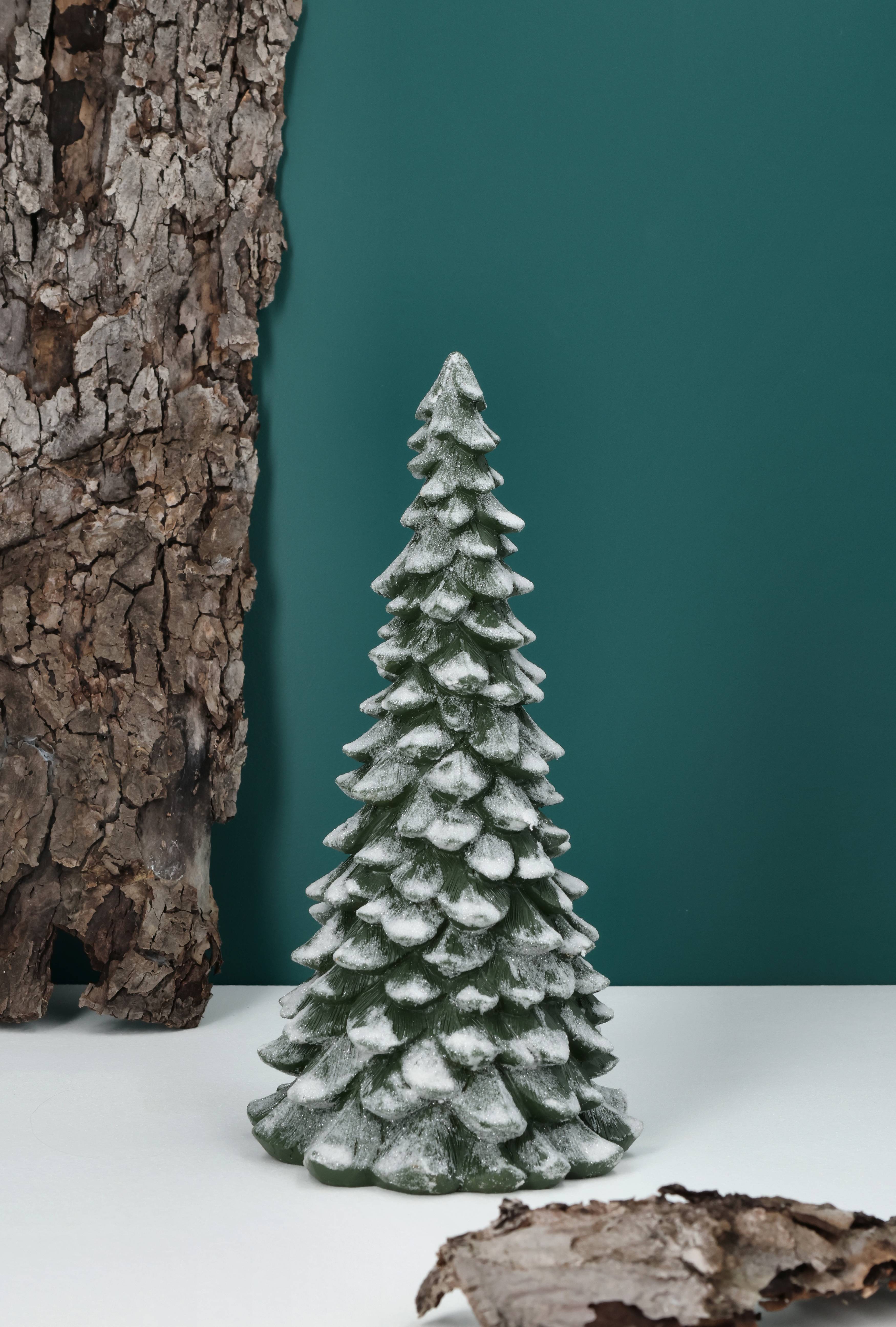 The Christmas Pine, Pinedam, X-large