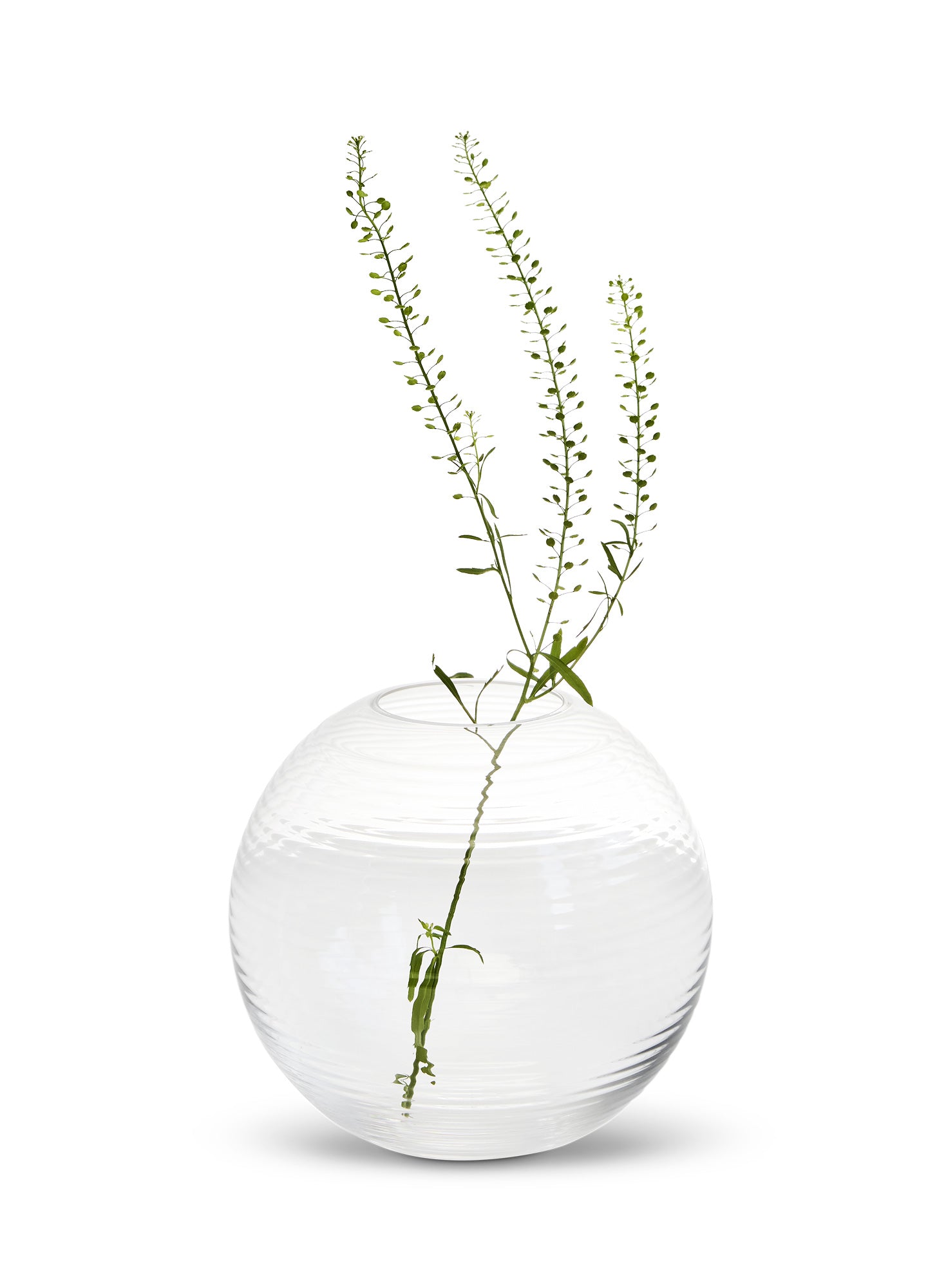 Laine (spherical vase)