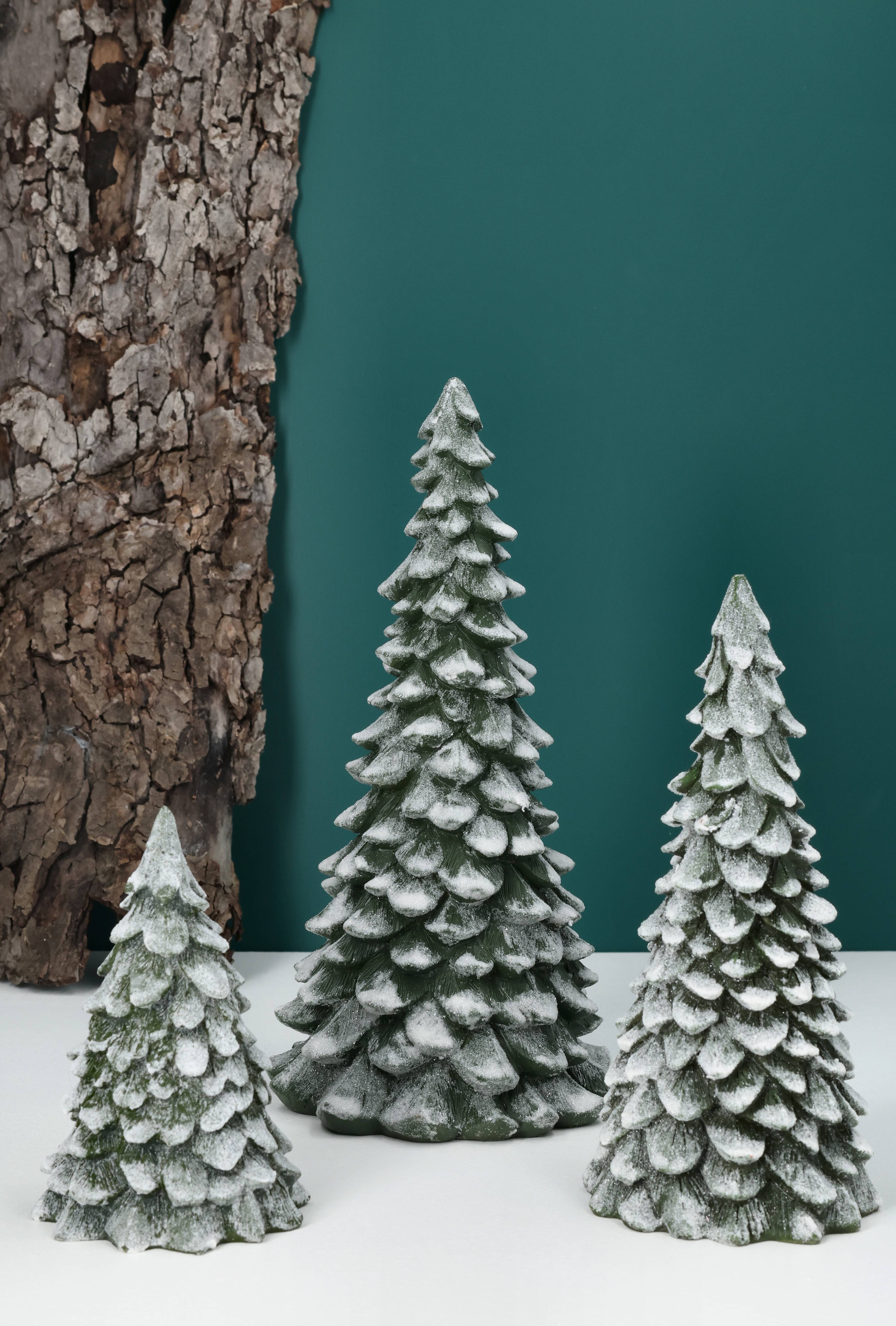 The Christmas Pine, Pinedam, X-large