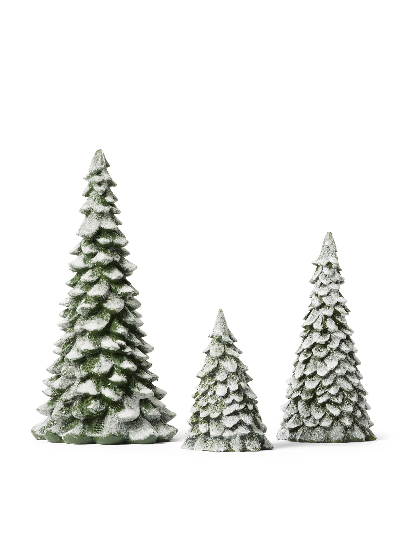 The Christmas Pine, Pinedam, X-large