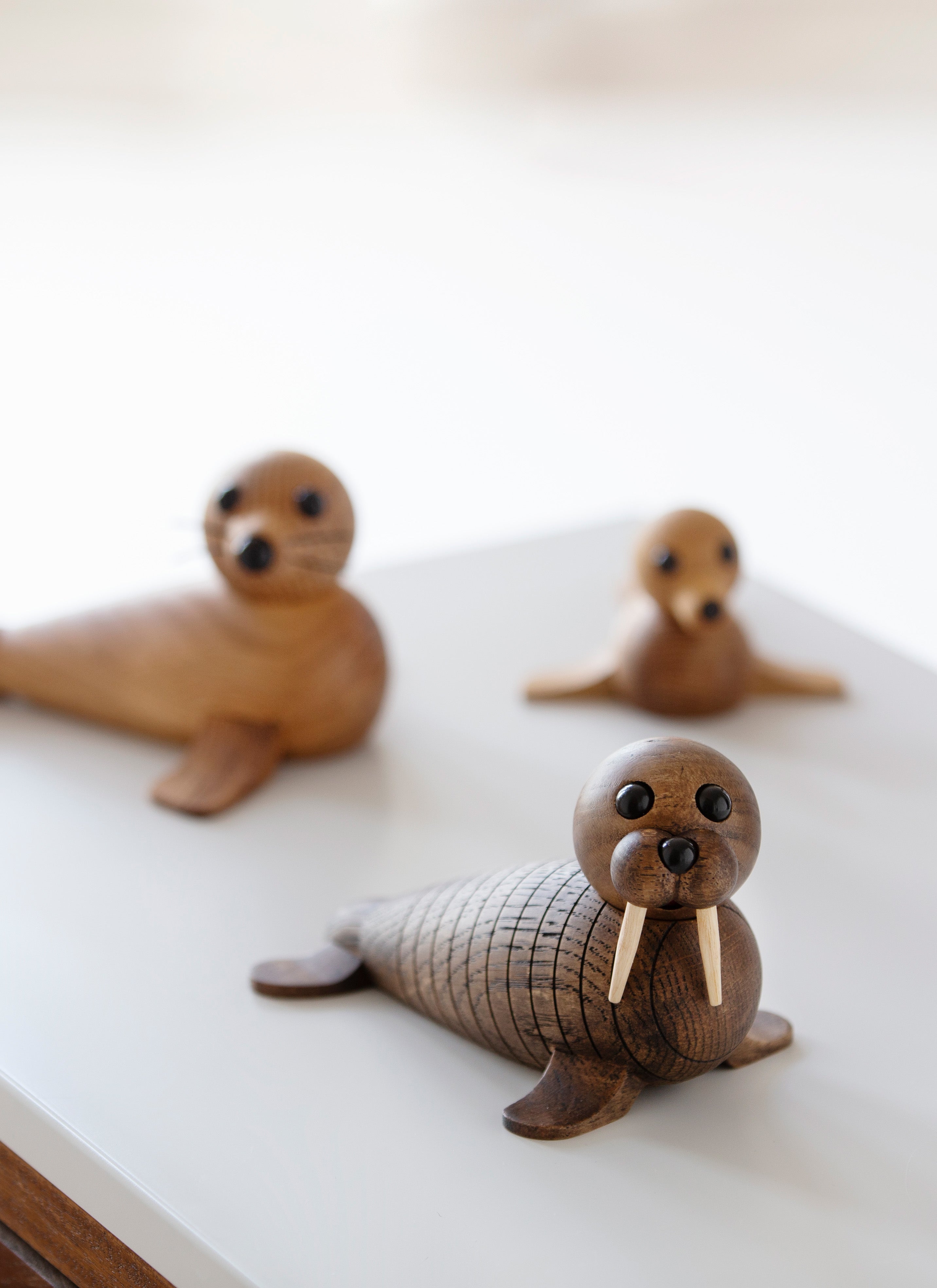 Wally + Seal + Baby Seal